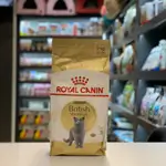 Royal Canin British Shorthair Adult- 2 Kg